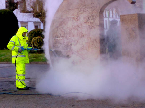 Best Exterior Home Cleaning  in Unionville, MO
